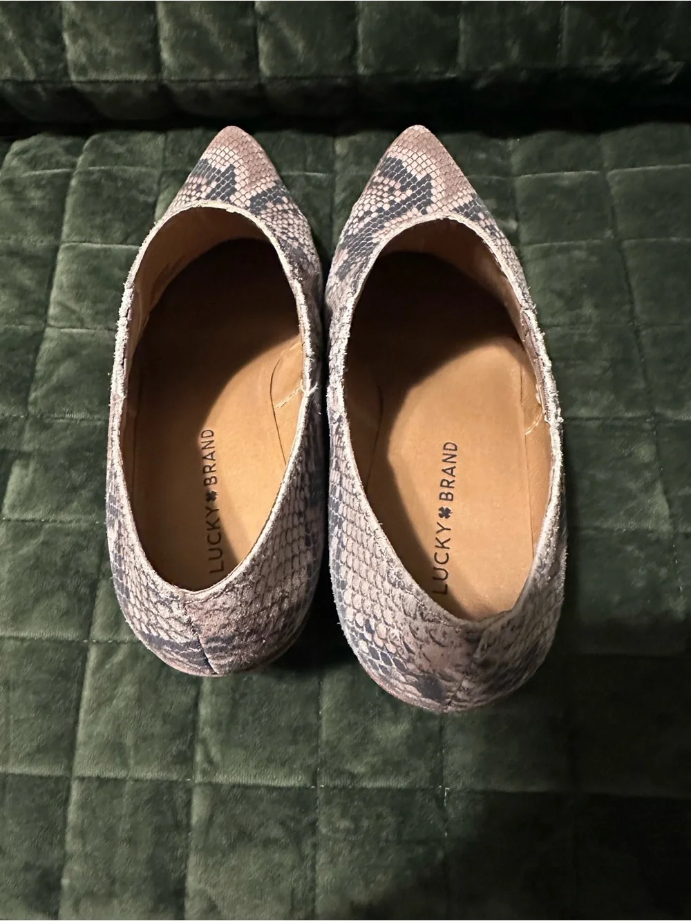 Lucky Brand Pointed Snake-Print Ankle Booties in Taupe and Black